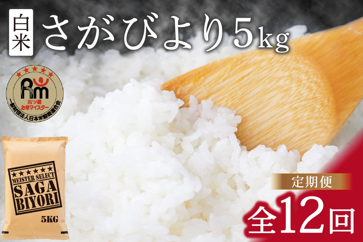 定期便 白米 さがびより 5kg×12回