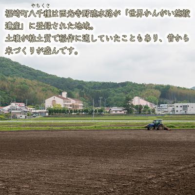 ふるさと納税 福崎町 【玄米】令和7年産　ヒノヒカリ 八千種米 5kg |  | 03