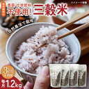 【ふるさと納税】【3回定期便】自然農法で育てた 三穀米 1.2kg（300g×4袋） /永尾 忠則[UAS014]