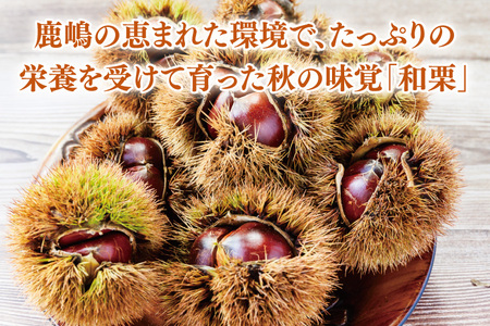 栗 くり 和栗 500g×2袋 計1kg 栗