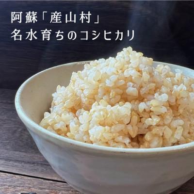 ふるさと納税 産山村 【令和7年産新米】うぶまい(コシヒカリ玄米)10kg〈阿蘇の名水 池山水源米〉 |  | 02