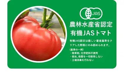 有機JAS トマト 4kg 澤村農園 トマト