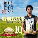 【ふるさと納税】令和6年産 新米 コシヒカリ 10kg 5kg 2袋 新潟産 特別栽培米 コシヒカリ 斗伸 新潟県 コメ お米 米 こめ しんまい 新潟米 新潟 新発田 toushin012_01