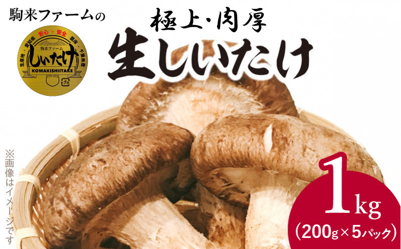 
            駒来ファームの 極上・肉厚 生しいたけ（生シイタケ 生椎茸 ）
          