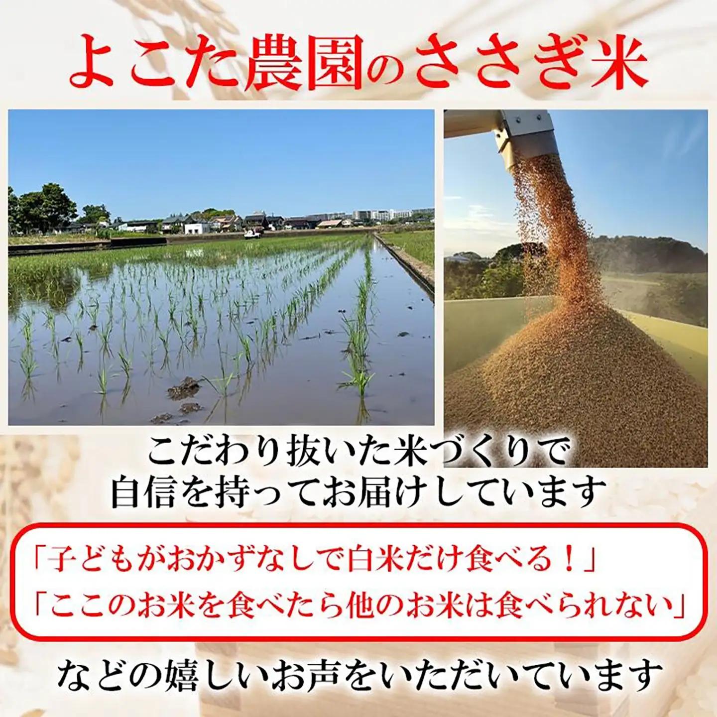 【玄米】令和7年産 コシヒカリ玄米 5kg 米