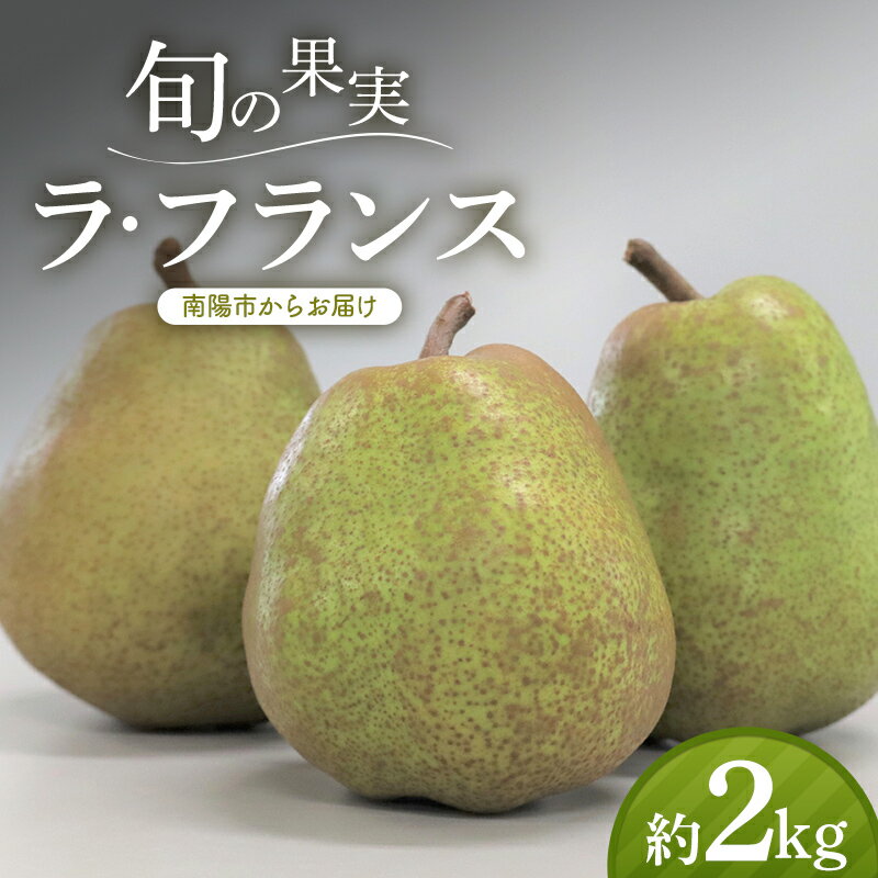 【ふるさと納税】 【令和8年産先行予約】 十三代目 佐藤市右衛門 ラ・フランス 約2kg (6～8玉 秀 2～4L) 《令和8年11月上旬～発送》 『旬の果実 佐藤市右衛門農園』 ラフランス 西洋梨 洋なし 果物 フルーツ デザート 山形県 南陽市 [1967]