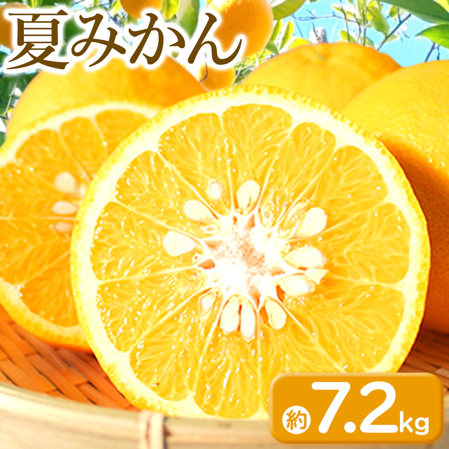 【ふるさと納税】みかん 夏みかん 柑橘類 約7.2kg 魚鶴商店《2027年4月中旬-4月下旬頃出荷》和歌山県 日高町 ミカン 柑橘 旬 果物フルーツ お取り寄せ