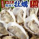 【ふるさと納税】【無選別】加熱用 殻付き牡蠣 1kg （8～15個）【2024年12月下旬～2025年3月下旬発送】| 牡蠣 かき カキ 殻付き 加熱用 調理用 焼き牡蠣 蒸し牡蠣 牡蠣鍋 カキフライ 牡蠣の酒蒸し 魚介 海鮮 BBQ バーベキュー 国産 大阪府 阪南市 送料無料