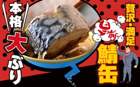 鯖 水煮 缶詰 180g × 12缶 サバ缶 おつまみ 保存食 [B-003034]