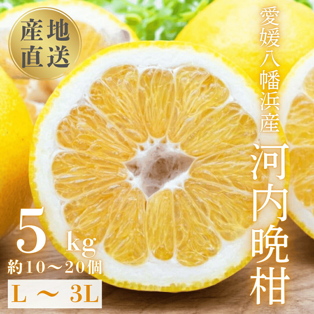 【ふるさと納税】【先行受付】《果汁たっぷりジューシー》産地直送 愛媛八幡浜産 河内晩柑5kg【D20-89】_【1625428】 YWTI084