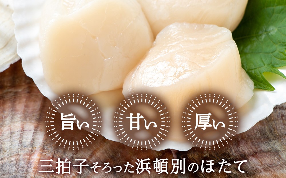 大粒・冷凍帆立貝柱1kg(41～50粒前後)×1パック【20007】