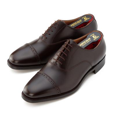 ふるさと納税 墨田区 スコッチグレイン「アシュランス」 No.3536 チョコ 24.5cm EEE 紳士靴 |  | 01