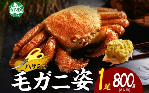 
            3302. ボイル毛蟹姿 800g 食べ方ガイド・専用ハサミ付 カニ かに 送料無料 北海道 弟子屈町
          