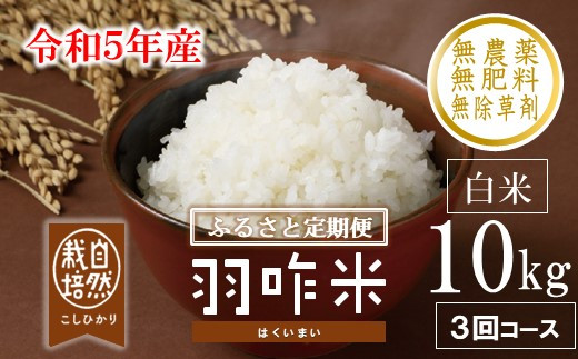 
[A206] 【定期便】【無農薬】【白米】能登のこだわり自然栽培こしひかり『羽咋米』 10kg×３回コース
