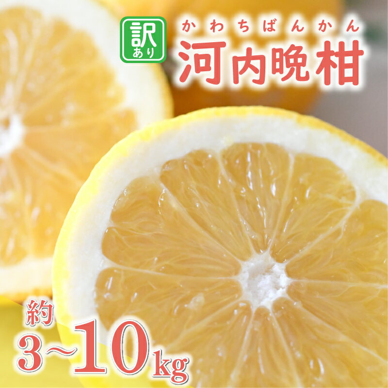【ふるさと納税】 数量限定 先行予約 選べる 内容量 訳あり 河内晩柑 3kg 5kg 10kg わけあり かわちばんかん 愛南ゴールド 愛媛 みかん mikan 蜜柑 ミカン 国産 期間限定 特産品 フルーツ 果物 柑橘 甘い 人気 おいしい 産地直送 農家直送 あいなんマザーズ 愛南町 愛媛県