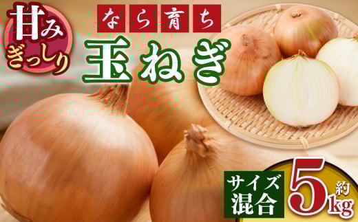 【なら育ち 益田農園】玉ねぎ約 5kg サイズ混合｜ヤサイ 野菜 やさい 玉葱 玉ねぎ たまねぎ 奈良県 五條市 5キロ