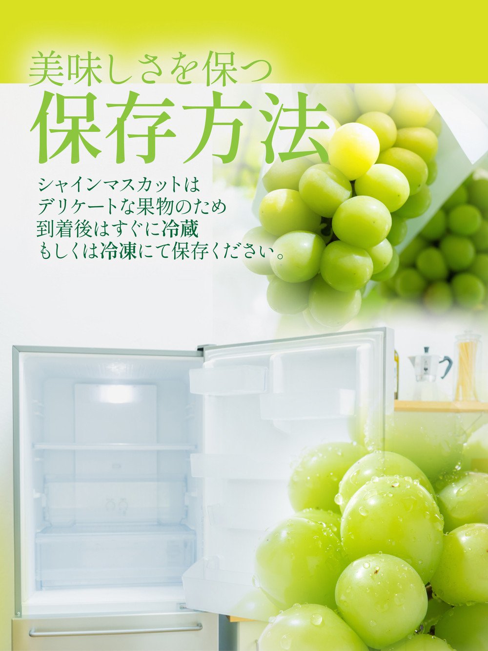 【岡山県産】シャインマスカット 約600g