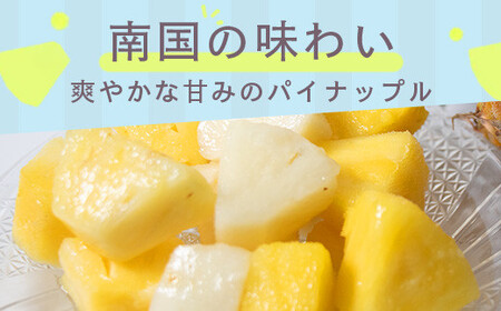 ＜期間限定 春フェア＞ 石垣島冷凍パイナップル 250g×3パック×6回 定期便