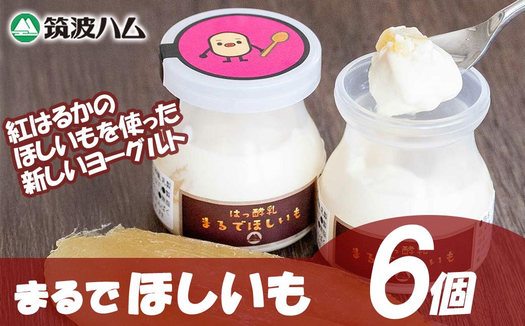 【 筑波ハム 】まるでほしいも × 3個セット2箱【 茨城県 つくば市 ヨーグルト 干し芋 ほしいも ほし芋 紅はるか さつまいも いも 健康 】