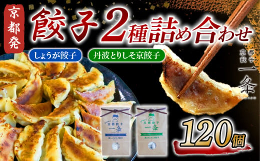 選べる 餃子2種詰め合わせセット しょうが餃子 ＆ 丹波とりしそ京餃子  120個  冷凍 ぎょうざ ギョウザ ギョーザ しょうが 生姜 豚肉 便利 簡単調理 惣菜 絶品 おかず お子様 家族 こだわり餃子 餃子 人気餃子 簡易包装餃子 訳あり餃子 訳アリ 冷凍餃子 冷凍生餃子 京都 井手町 京都餃子一条 【232】