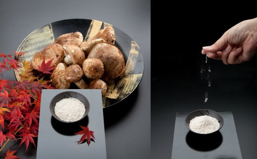  田野屋塩二郎の松茸塩『芳香』10ｇ 数量限定 完全天日塩 国産松茸塩 田野屋塩二郎 世羅の大地 松茸 塩 松茸塩 お塩 しお 天然塩 国産 調味料 料理 つけ塩 食用 海水 肉 海鮮 常温