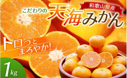 
                  【先行予約】天海みかん 1kg ≪2026年11月より発送≫ 海藻肥料で育った 完熟 早生 みかん ミカン 蜜柑 柑橘 温州みかん フルーツ 果物 くだもの 産地直送 甘い 濃厚 1キロ 期間限定 人気 和歌山県 田辺市 【nak004】
                