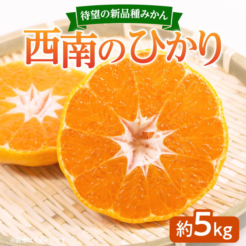 【ふるさと納税】待望の新品種みかん　西南のひかり　約5kg【2026年12月上旬～2027年1月上旬配送】 | 果物 希少 フルーツ みかん オレンジ ジューシー 蜜柑 ミカン 高糖度 柔らかい なめらか 果汁 濃い 果肉 香川県 高松市