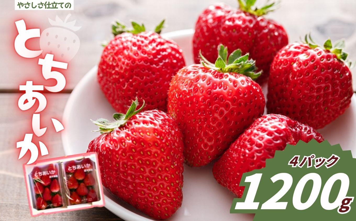 やさしさ仕立ての とちあいか 300g×4P 【2027年先行予約】 栃木県 矢板市