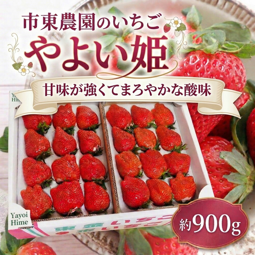 【ふるさと納税】 4月収穫 苺 やよい姫 約900g 完熟 いちご やよいひめ ヤヨイヒメ イチゴ ichigo itigo フルーツ 新鮮 ふるーつ くだもの 果物 旬 甘い くだもの 朝採れ 数量限定 プレゼント ギフト 朝食 スイーツ 酸味 甘味 国産 贈答用 家庭用 市東農園 千葉 東