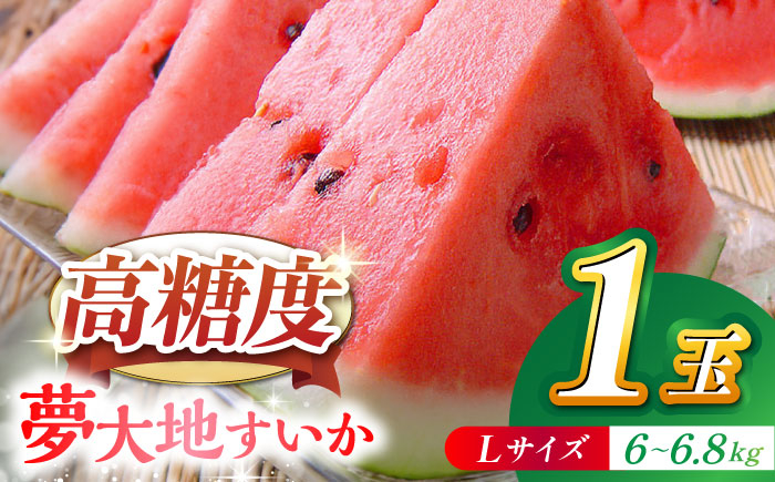 
【先行予約】【数量限定】夢大地すいか1玉 Ｌサイズ（6kg～6.8kg）【鹿本農業協同組合】 [ZAG013]
