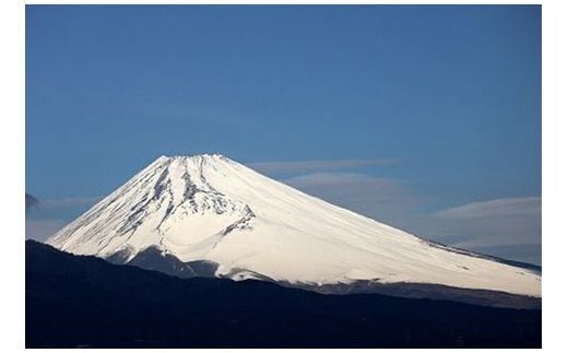 
										
										空き家見回りサービス+ゴミなんでも相談(月1回×12ヶ月 12回分)＜三島市内対象＞【 静岡県 三島市 】
									