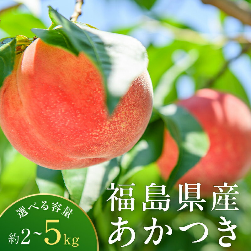 【ふるさと納税】＼選べる容量／＜先行予約＞福島県産 甘くてジューシー 桃 あかつき もも フルーツ 果物 F6Q-352var