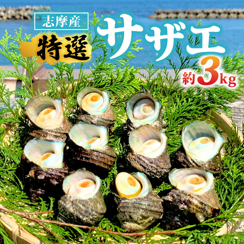 【ふるさと納税】 サザエ 3kg 新鮮 海鮮 海産物 魚介 魚貝 栄螺 貝 刺身 刺し身 お造り つぼ焼き グリル BBQ バーベキュー キャンプ 夏 ギフト 贈り物 グルメ お取り寄せ お中元 志摩産 特選 三重 志摩 伊勢志摩 30000円 3万円 三万円 今が旬