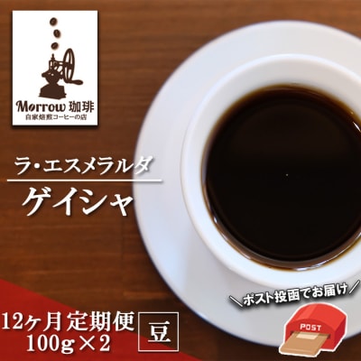 コーヒー 定期便12ヶ月 世界最高峰珈琲の一つ ゲイシャ 100g×2 豆[No5354-0432]