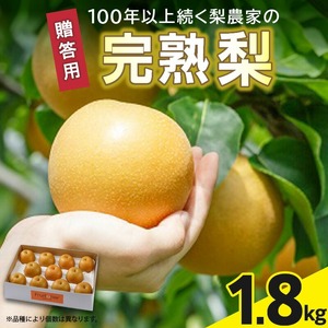 ※贈答用※【フルトリエ】100年以上続く梨農家の完熟梨小箱(1.8kg)_【贈答用】梨 1.8kg 幸水 豊水 あきづき 新高 甘太 王秋 完熟梨 いずれか1種類 フルトリエ 中村果樹園 100年続くフルーツ農家 発送当日の朝に収穫 福岡県 久留米市 お取り寄せ フルーツ 果物 ギフト 贈り物 送料無料 〔Fn102〕