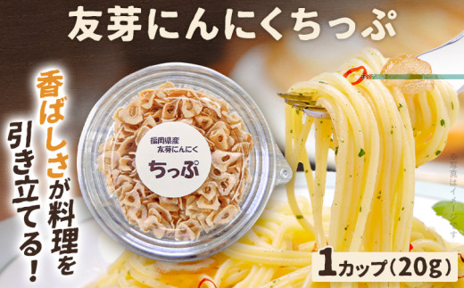 友芽にんにくちっぷ 友芽にんにく にんにく ガーリック にんにくスライス にんにくチップ 2000円 お試し ガーリックスライス 調味料 トッピング サラダ パスタ ラーメン カレー 炒め物 肉 福岡 九州 グルメ お取り寄せ メール便（ポスト投函）
