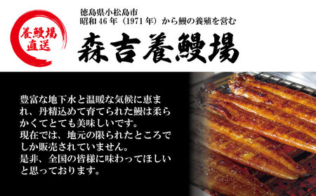 【7月10日までの受付で丑の日までにお届け！】 国産 うなぎ 蒲焼 3尾（約480g）冷蔵 特上うなぎ 頭付き かば焼き うなぎ蒲焼き 鰻 土用の丑の日 丑の日 夏 スタミナ たれ 秘伝 うな重 ひつ