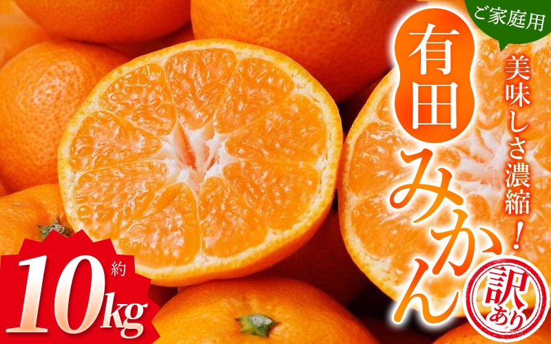 【訳あり】農家直送 有田みかん 約10kg ご家庭用 サイズ混合 ※2025年11月中旬より順次発送予定（お届け日指定不可）※北海道・沖縄・離島への配送不可　訳ありみかん 温州みかん サイズ混合 訳ありみかん 温州みかん 有機質肥料100% ふるさと納税 柑橘 有田 産地直送【nuk138E】