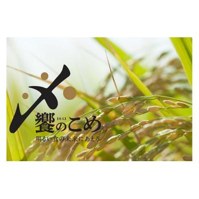 ふるさと納税 宝達志水町 【期間限定発送】 米 令和7年 2kg ×4種 計 8kg 精米 食べ比べ [38601091] |  | 03