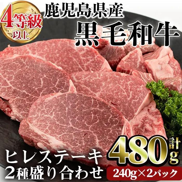 鹿児島県産 黒毛和牛 (4～5等級)ヒレ ステーキ 2種盛り(合計480g・240g×2パック) 牛肉 赤身 国産【LRプラスK】A231-v01