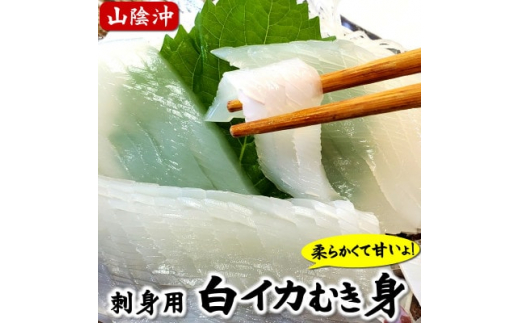 
柔らかくて甘い!お刺身用　白イカむき身　350g　下処理済み　サイズ不揃い　個包装になってます【1453376】
