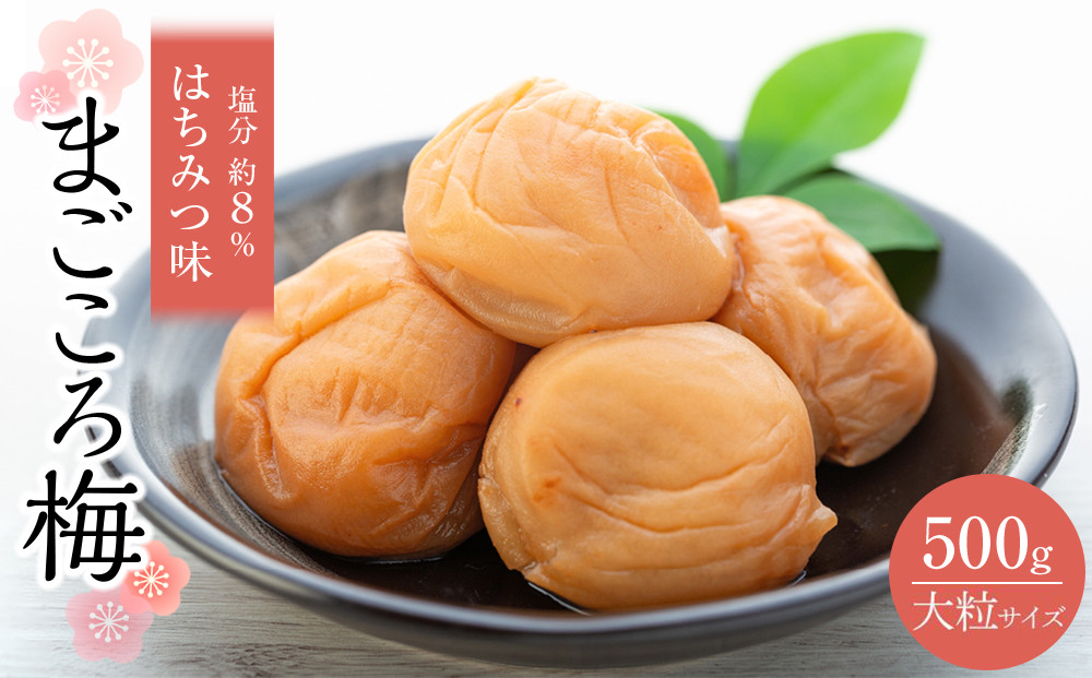 極上 紀州南高梅 まごころ梅 はちみつ 梅干し 3L サイズ以上 500g 塩分 約8％ 化粧箱入り 304018_CS009