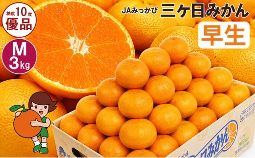 
                  三ケ日みかん 早生【優品】Mサイズ3kg(27個前後)  ミカン 果物 くだもの フルーツ 甘い 静岡県 浜松市 [№5360-0090]
                