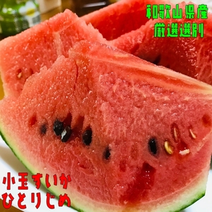 厳選！小玉すいか『ひとりじめ』【M】２玉入り