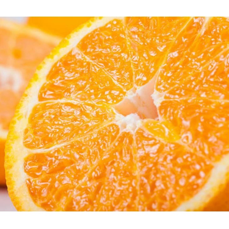 【先行予約】【農家直送】不知火（しらぬい） ご家庭用 約5kg ※2026年1月下旬～3月下旬頃に順次発送予定 ※北海道・沖縄・離島への配送不可