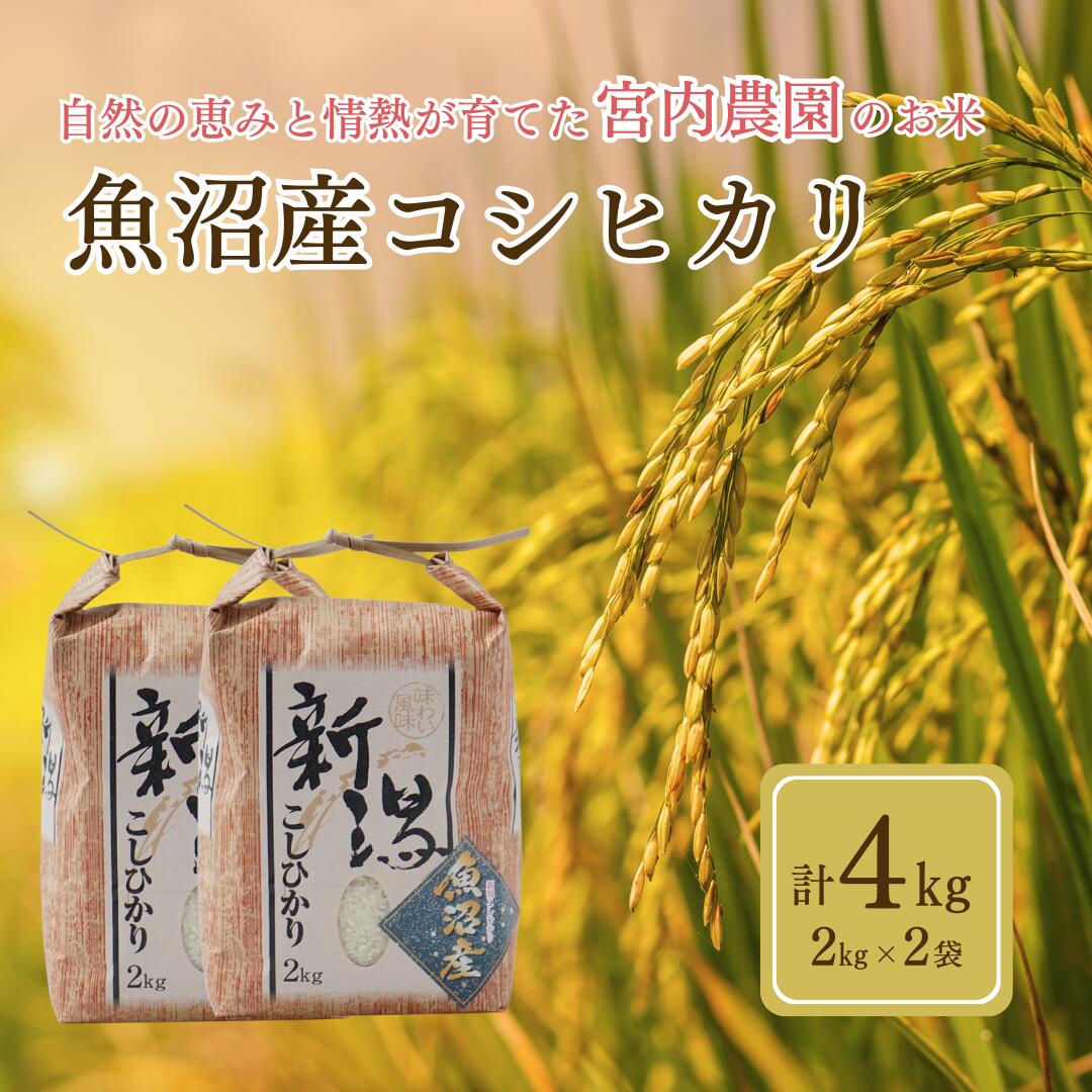 【ふるさと納税】【数量限定】令和7年産 魚沼産コシヒカリ2kg×2袋 精米 宮内農園 | 新潟県産 コシヒカリ お米 米 おこめ こめ コメ こしひかり 白米 魚沼産 ブランド米 人気 おすすめ 産地直送 新潟県 小千谷市【0002-MN02-01】