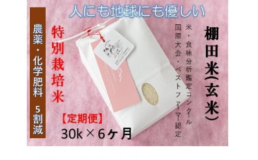 【2025年産新米】【6ヶ月定期便】【農薬化学肥料5割減】魚沼コシヒカリ 苗場プリンセス 特別栽培米 玄米 30kg（30kg×1袋）計180kg