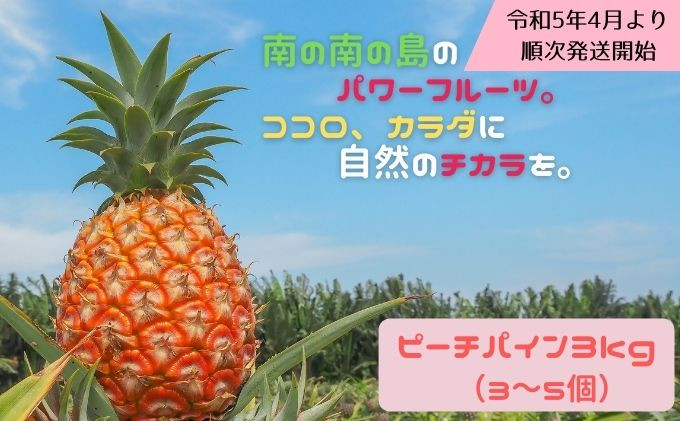 
2024年4月中旬発送開始。『西表島産ピーチパイン』は国内流通量1％未満☆芳醇な桃の香り☆驚くほどの甘さ☆ジューシーな果汁☆ピーチパイン3㎏（3～5個）
