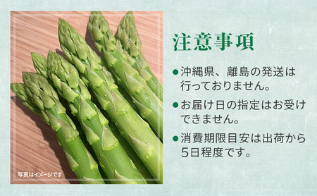 ［武田農園とれたて直送］2027年春～発送 グリーンアスパラ 2L 1kg やわらかくて抜群にあまい！北海道 富良野産 (アスパラガス アスパラ 野菜 新鮮 産地直送 先行予約 限定)
