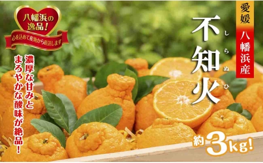 2026年2月～順次出荷　甘さと酸味の絶妙なバランス!はじける果肉「不知火」約3キロ＜C39-74＞【1620480】 YWTF049